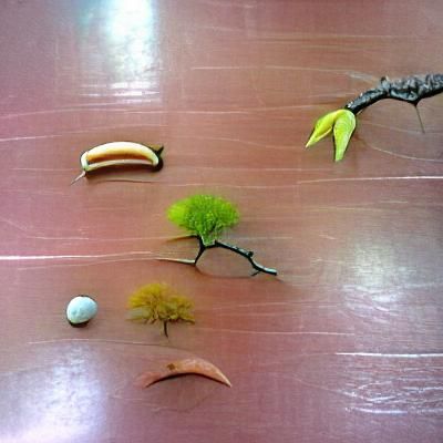 Tree Life Cycle Stages Visualized
