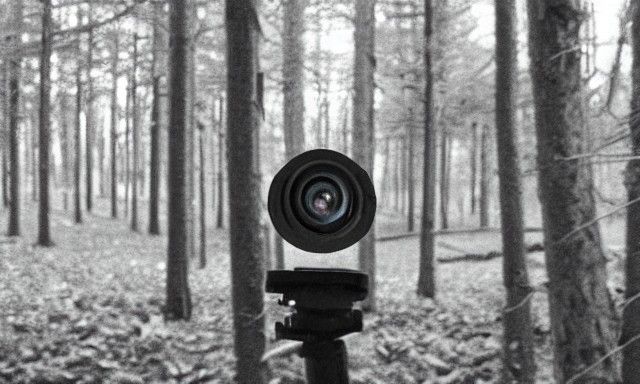 Monstrous Creature Captured on CCTV Night Vision