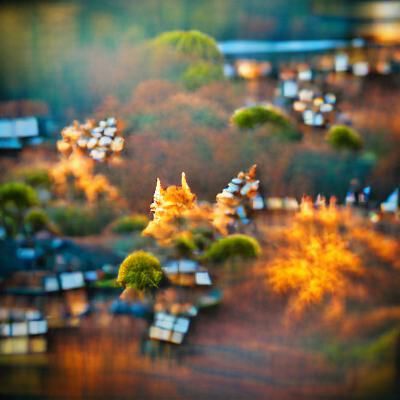 Peaceful Autumn Morning Landscape