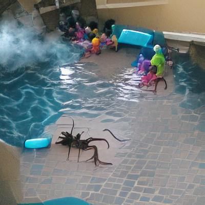 Adult Swim Pool Sign