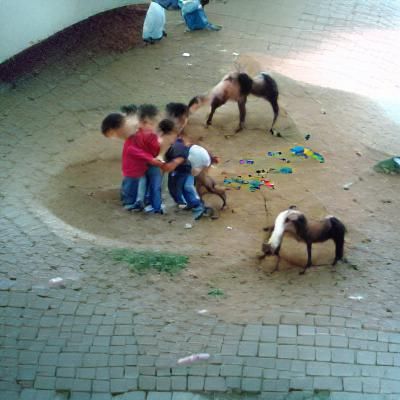 Children's Playtime With a Deformed Horse