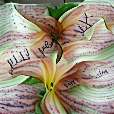 Personalized Cursive Name Art: Lily