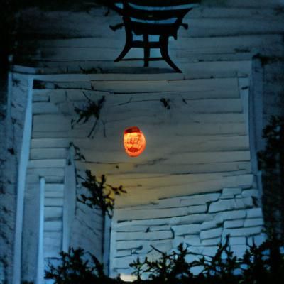 Halloween Lantern Glows Under Full Moon