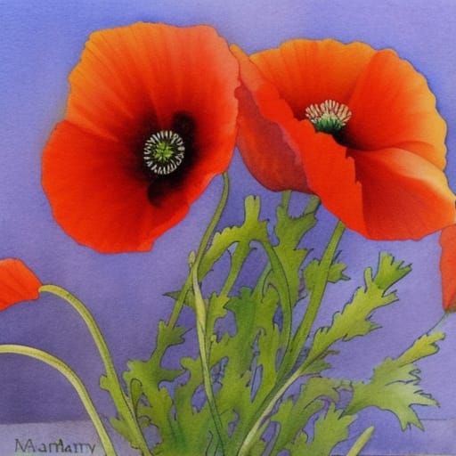 Botanical Watercolour Painting of Oriental Poppies