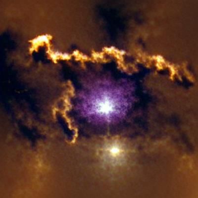 AI-Generated Image of a Wolf