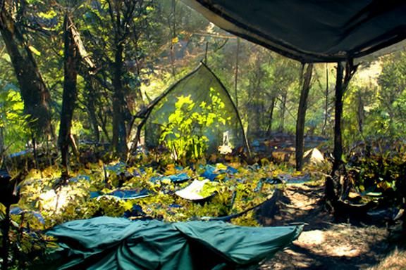 Enchanted Forest Campsite in Monet Style