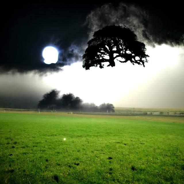 Striking Night Scene: Lightning Strikes Black Tree