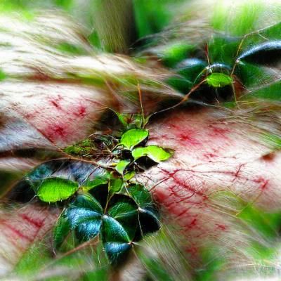 AI Generated Image of a Vicious Undergrowth