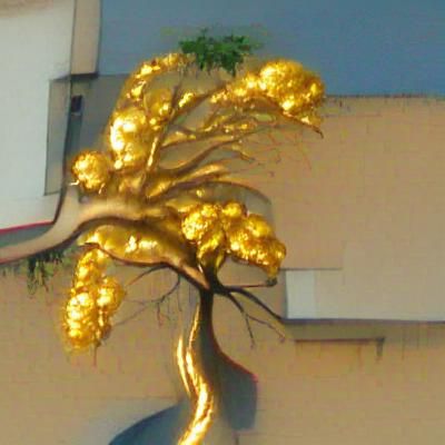 Golden Tree in Isolation
