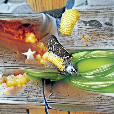 Midwestern Iowan Eating Corn