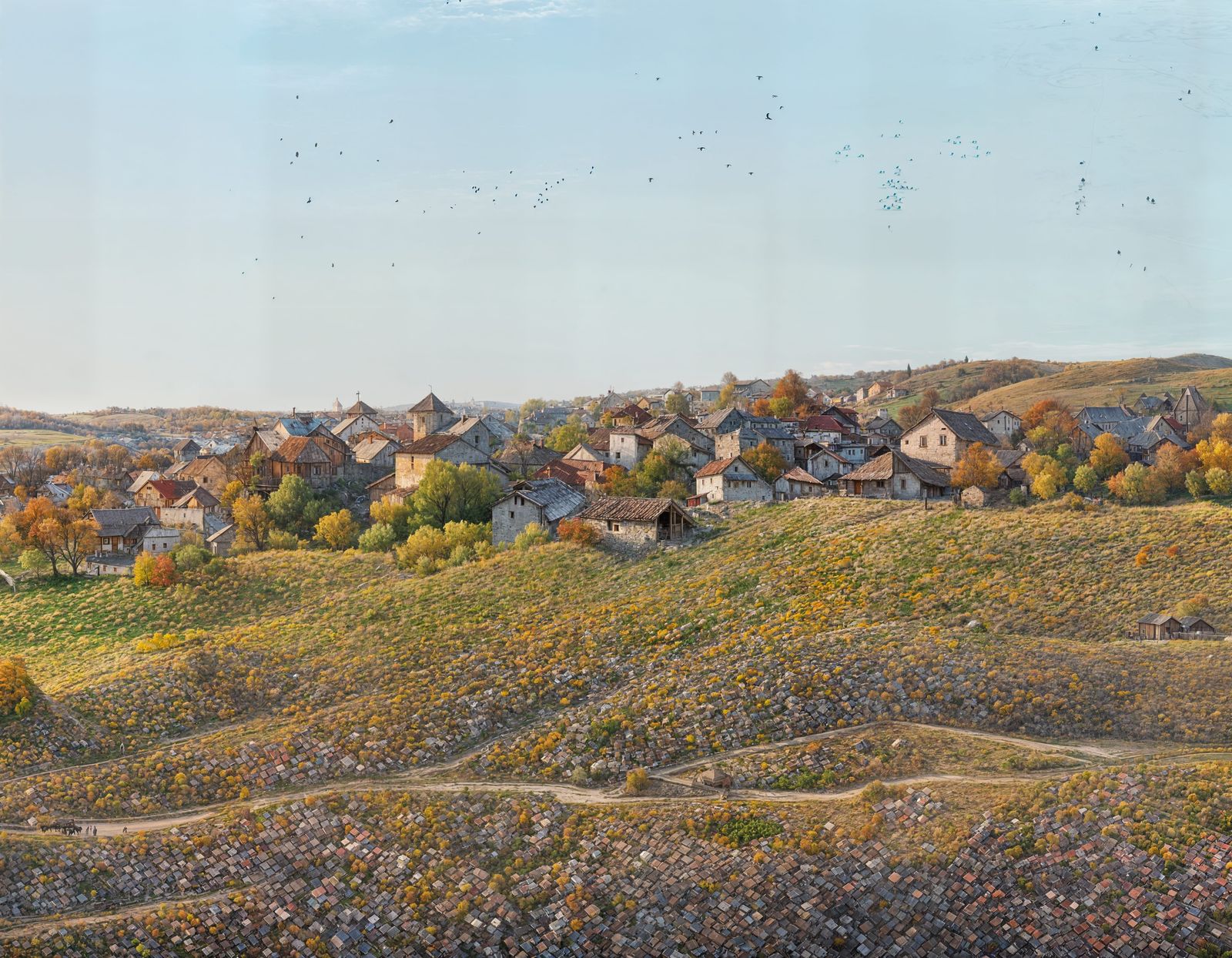 Charming Moldovan Village Scene