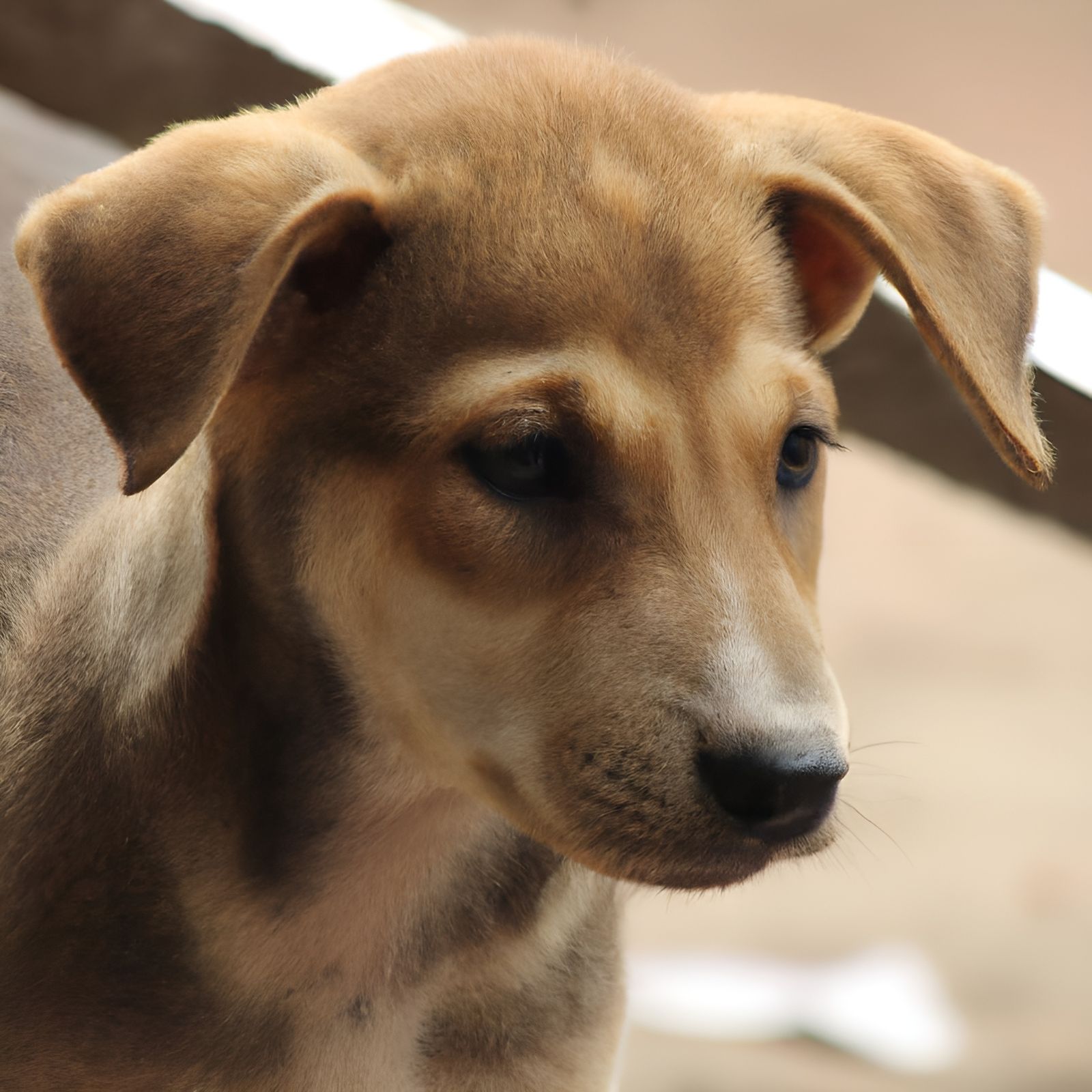 Innocent Young Dog Generated by AI