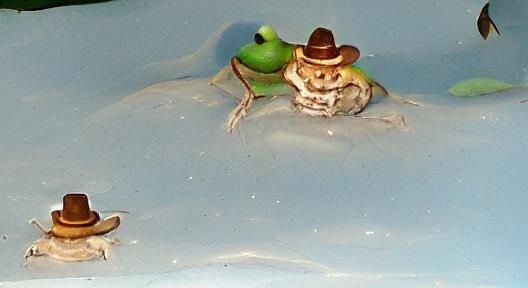 Frog in Cowboy Hat Perched Atop Large Breasts