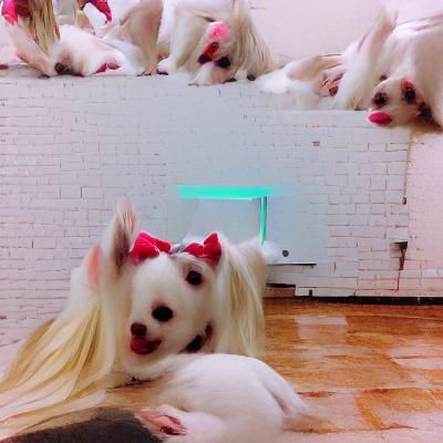 AI Generated Image from Blank Prompt