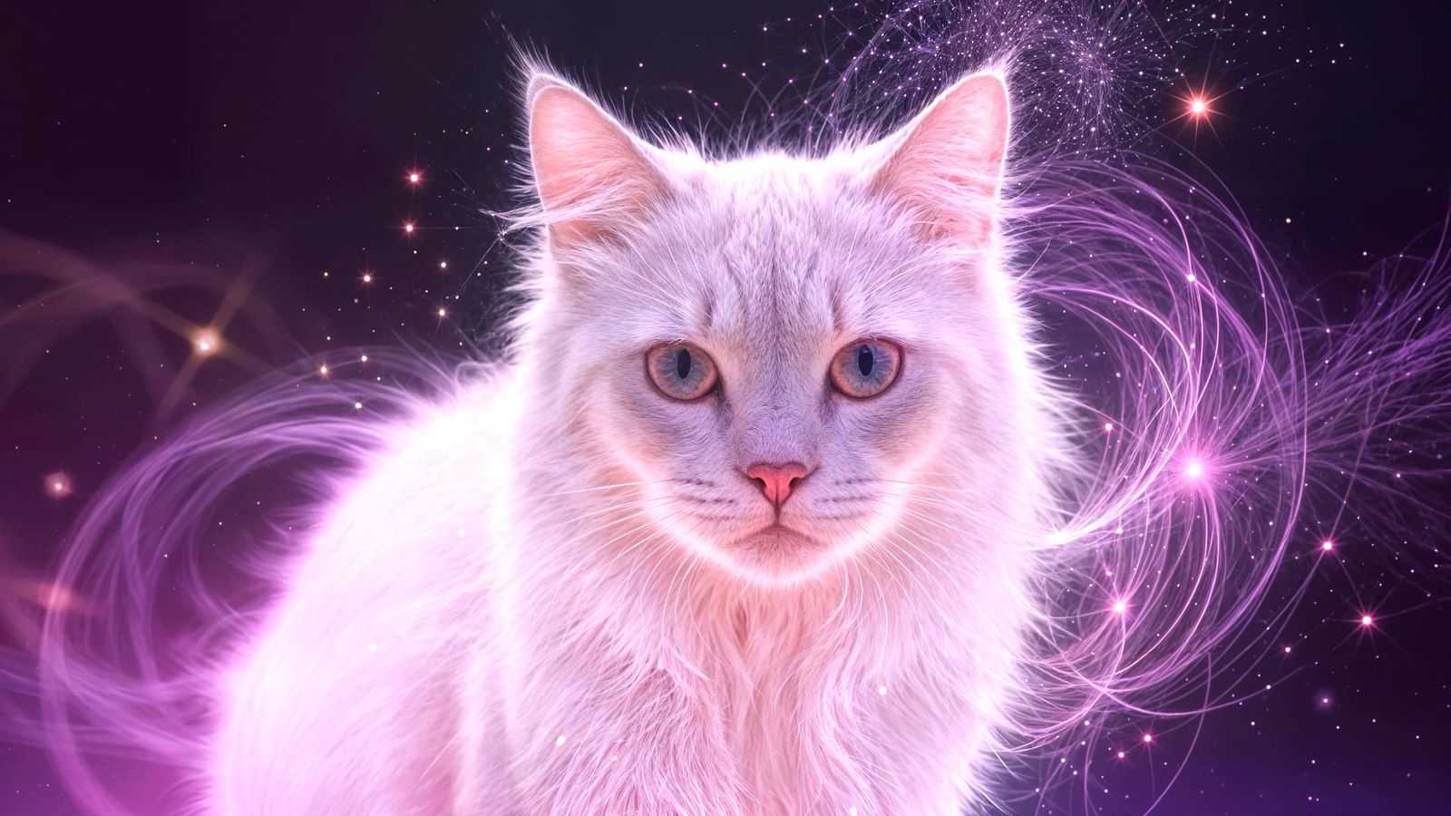 Majestic Cat Dissolving into Glowing Particles