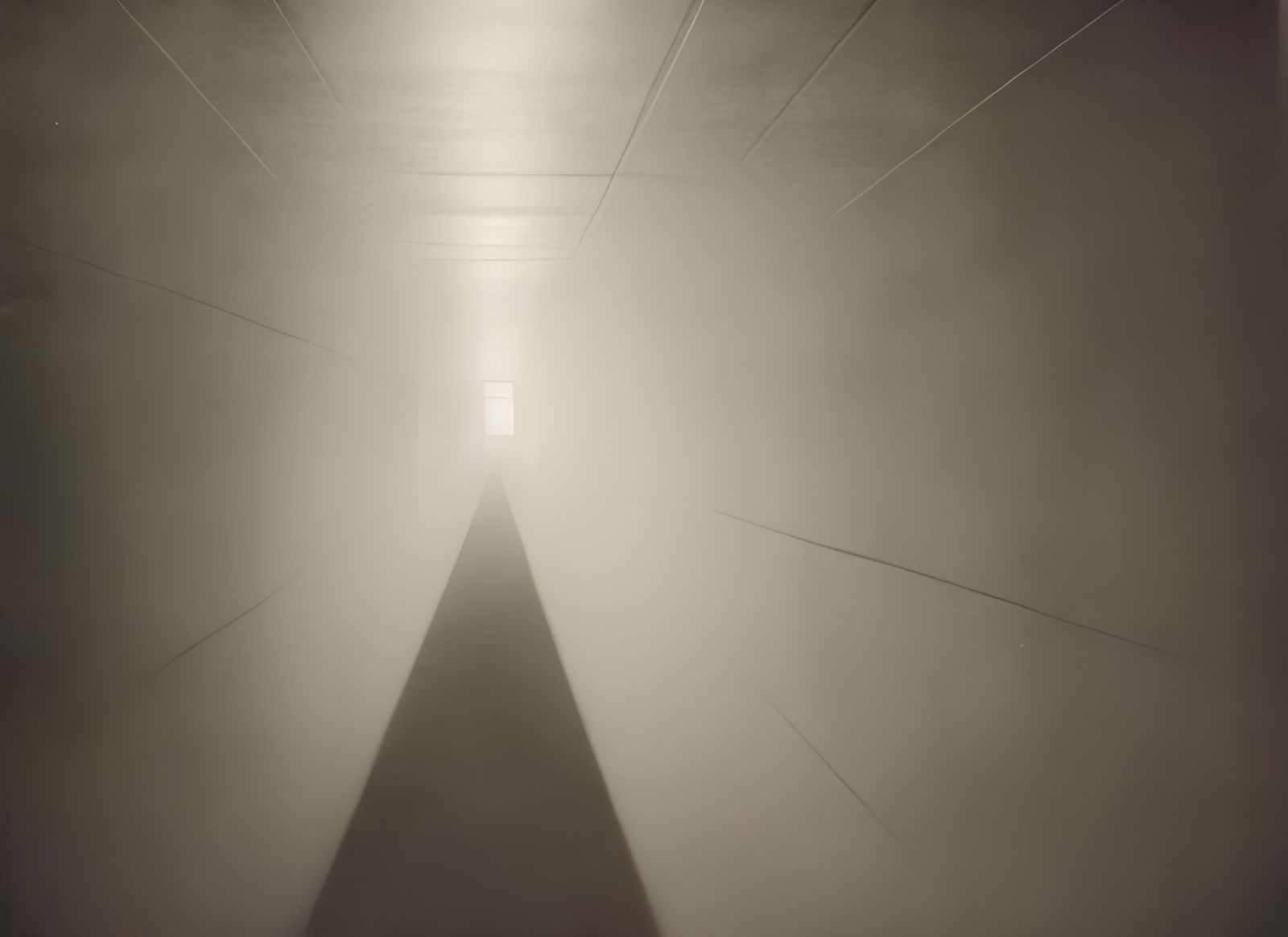 Murky Hallway with Dust Particles in Photorealistic Style