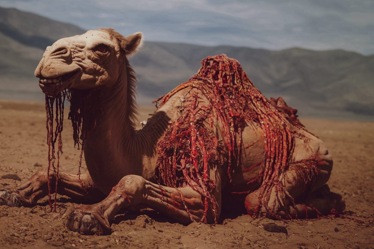 Cursed Undead Zombie Camel