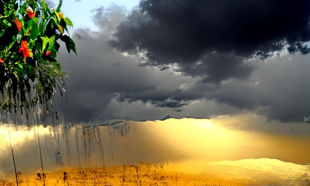 Post-Rain Landscape of Central Mexico