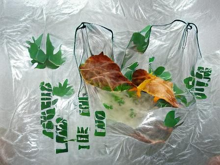 Autumn Leaf Held Before Bag, High Resolution