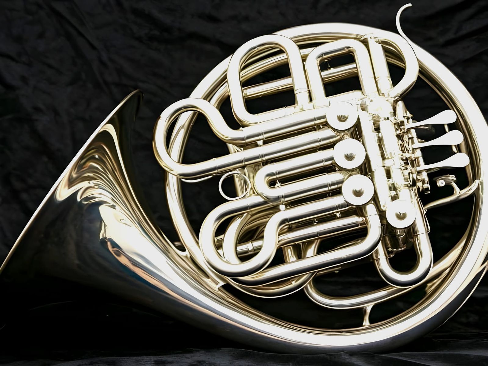 Luxurious Chrome French Horn in Brilliant Lighting