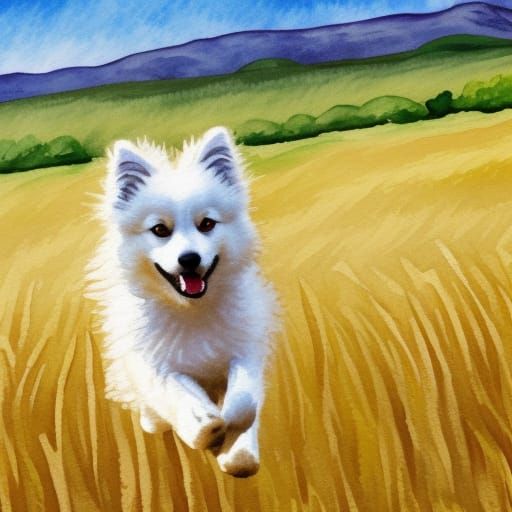 American Eskimo Dog Runs Through Wheat Field: Gouache Style