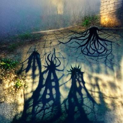 Shadows of Carcosa