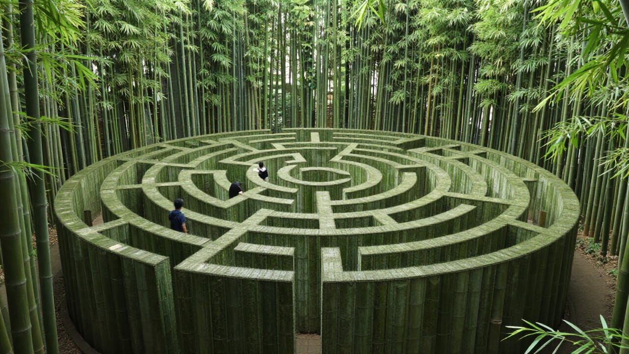 Hyperrealistic Bamboo Maze With Tiny Figures