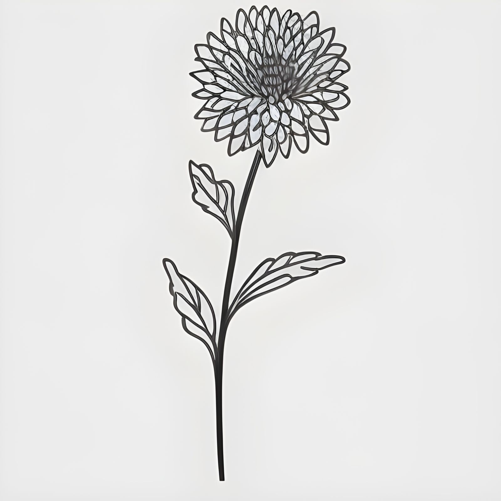 Line Art - Chrysanthemum