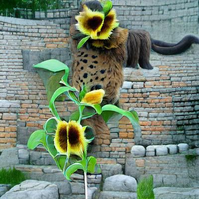 china cat sunflower