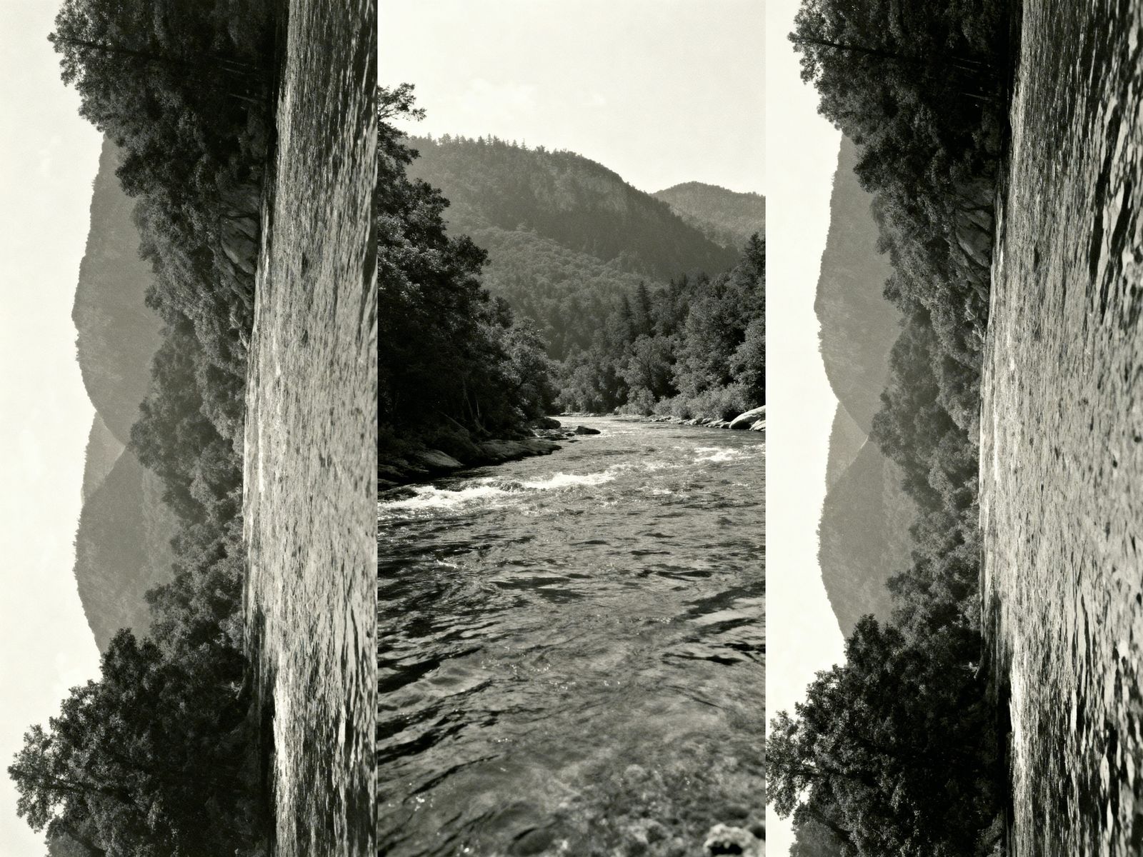 Layered Photomontage of Intermixed Landscapes in Negative Co...