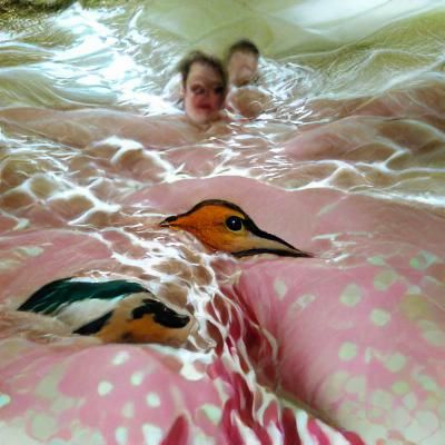 AI Generated: Swimming in Eiderdown