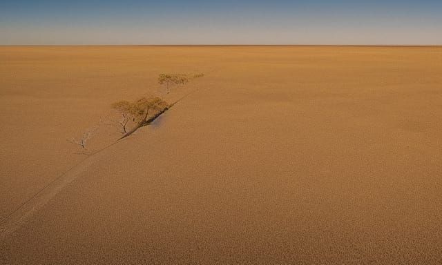 Australian Steppe Landscape in Cel-Shaded Photography