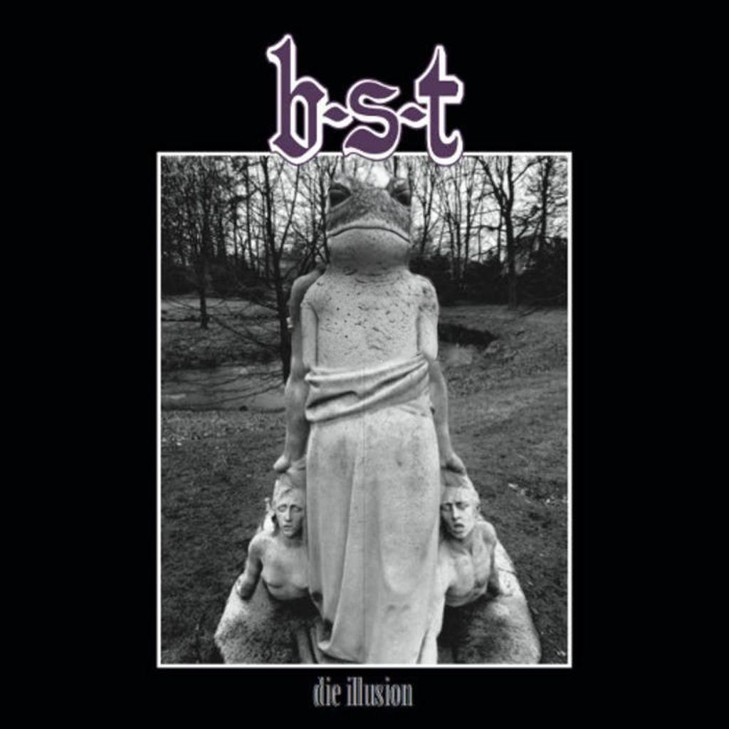 Monochrome Frog Statue Head in White Stone