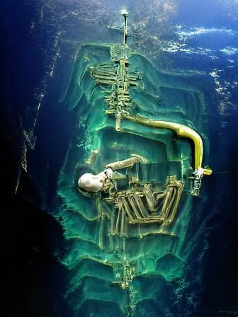 Ethereal Ocean Bones: A Surreal Seascape