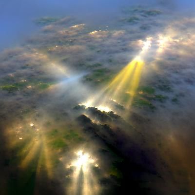 Sunbeams Breaking Through Dense Fog
