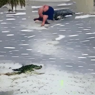Man Versus Alligator in Snowy Landscape