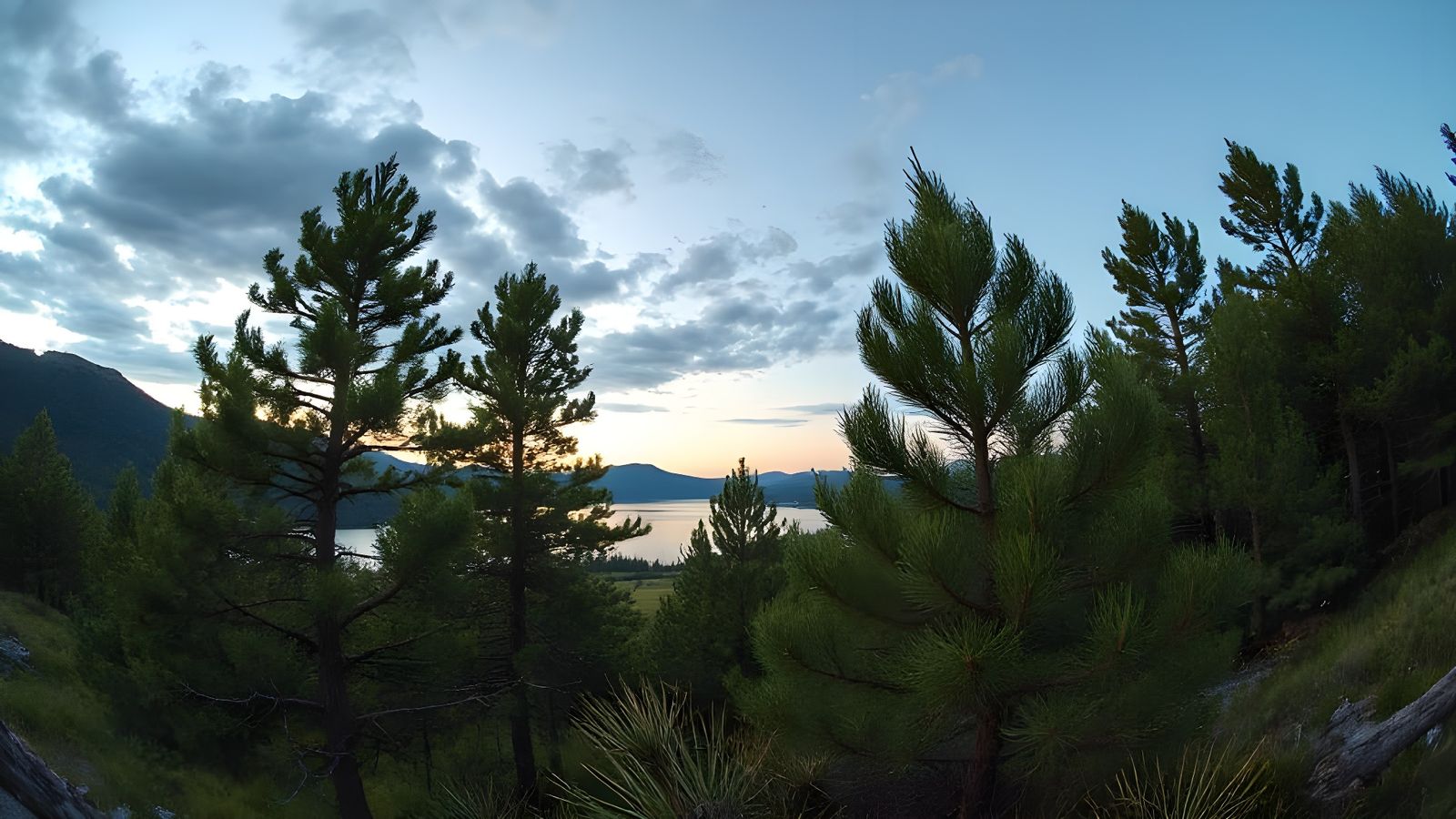 asymmetric anamorphic