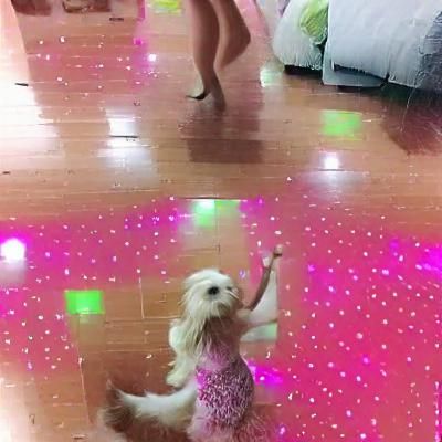 AI Interpretation of a Dance