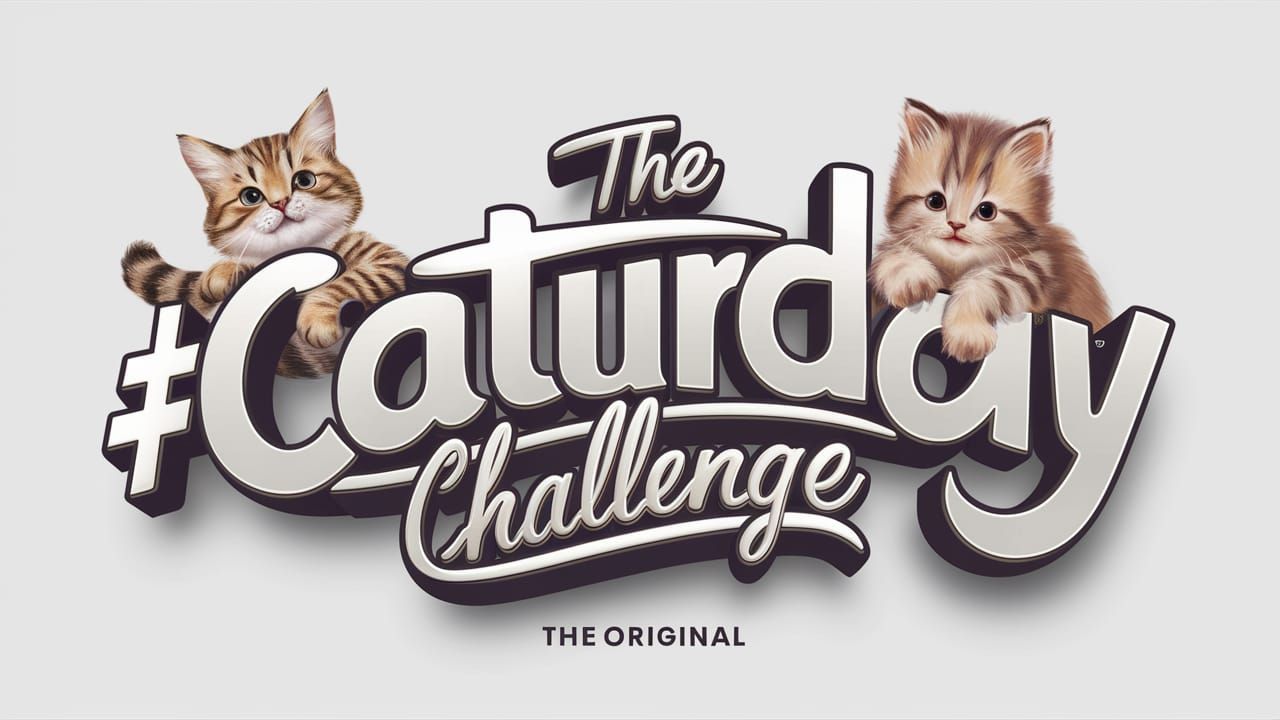 One Year of #Caturday! 🎂 (Former Weekly #Caturday Challenge...