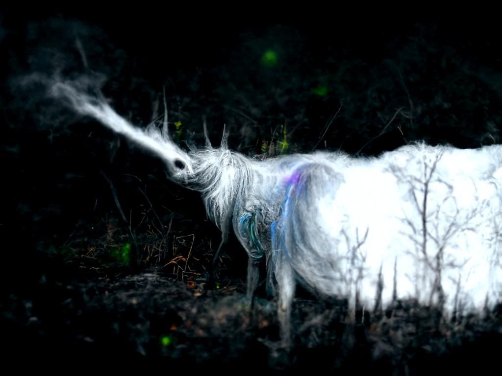 Enchanted Unicorn Captured on Trail Camera
