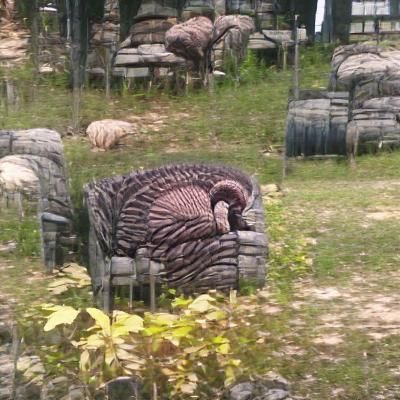 Camouflaged Wild Turkey in Natural Habitat