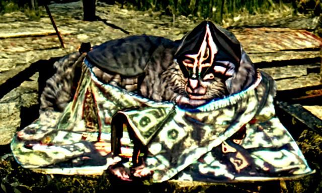 Skyrim Khajiit Merchant Sells Wares