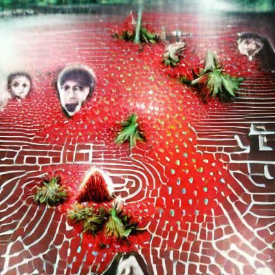 AI Image Generation: Blank Prompt Result
