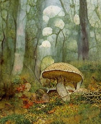 Autumn Forest Mushroom