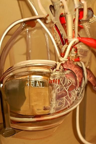 Mechanical Heart in a Jar: A Techno-Surreal Vision