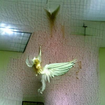 Fallen Angel: Loss of Grace