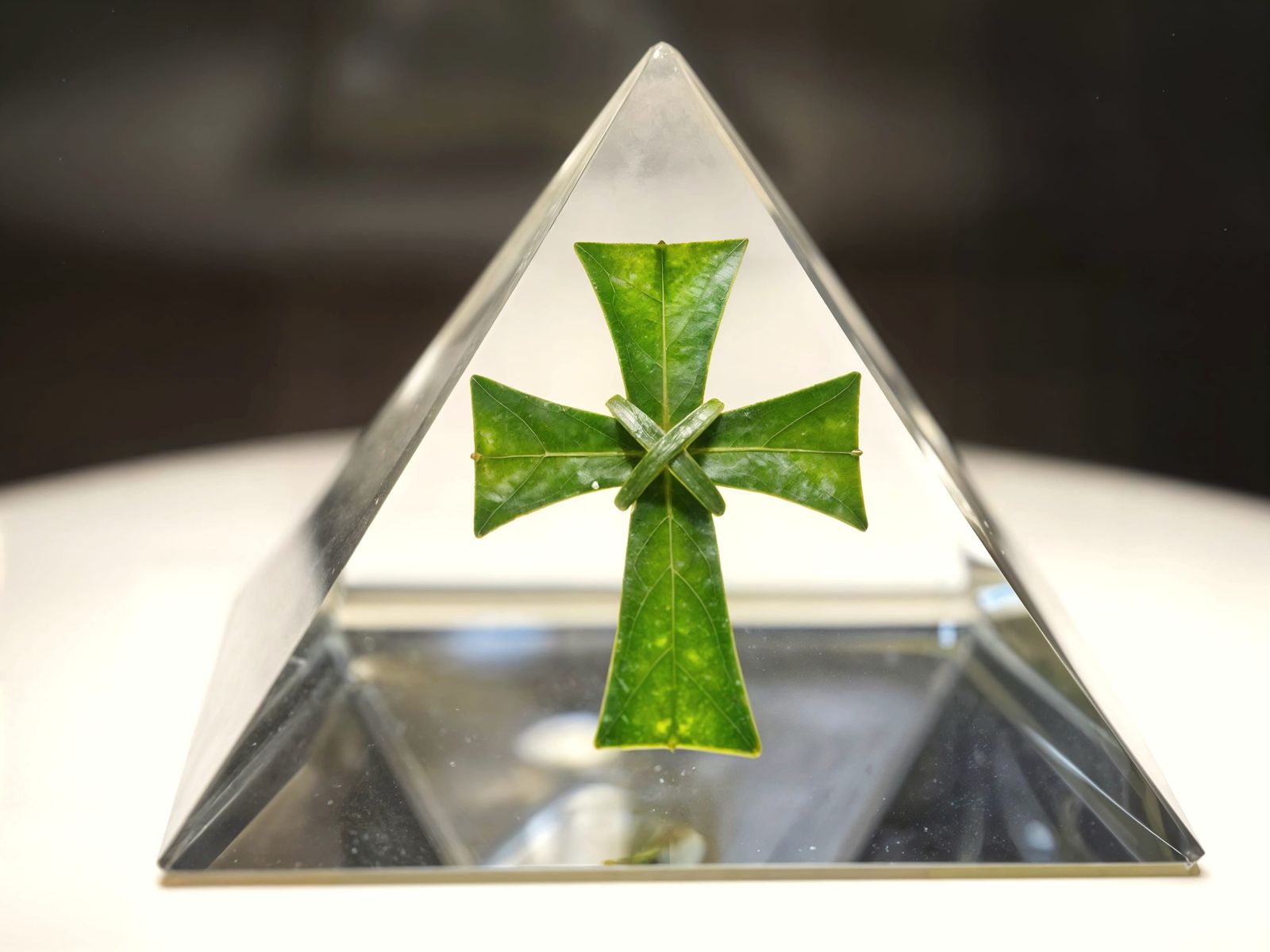 Realistic Celtic Cross Leaf Encased in Crystal