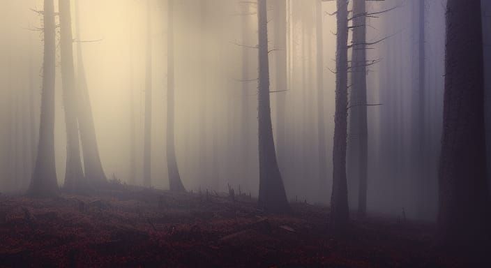 Eerie Burning Forest in Dark Fantasy Style