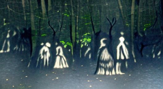 Eerie Shadow People in Dark Woods
