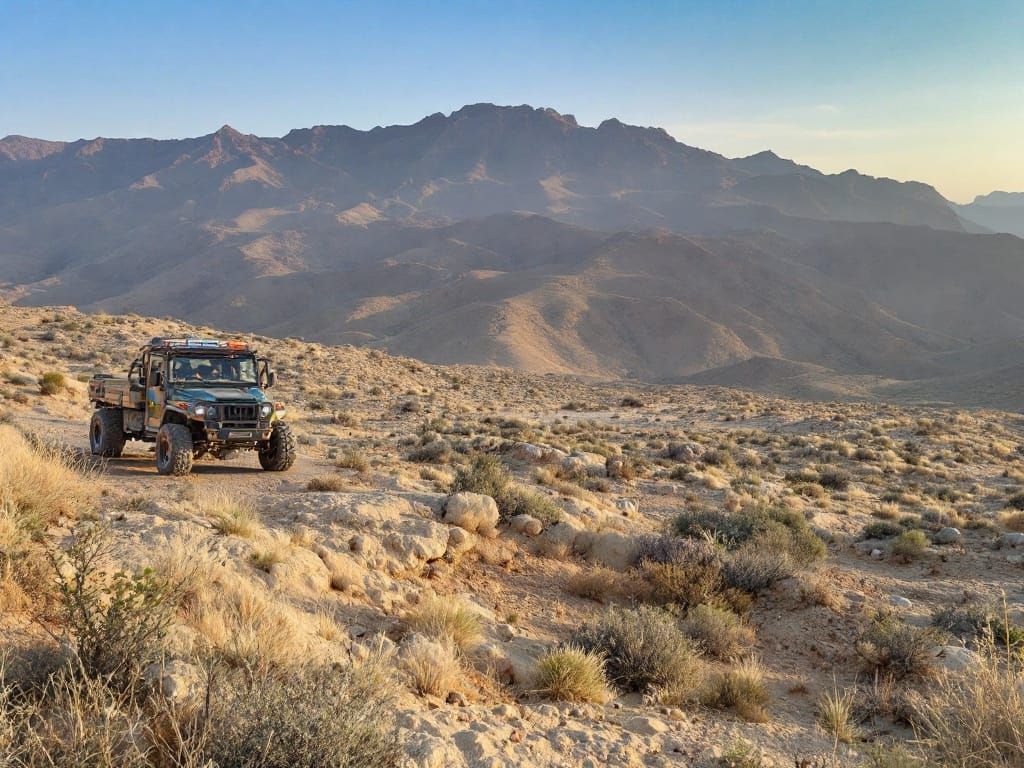 Sensual Athletic Woman with Muscular Arm and Visible Veins